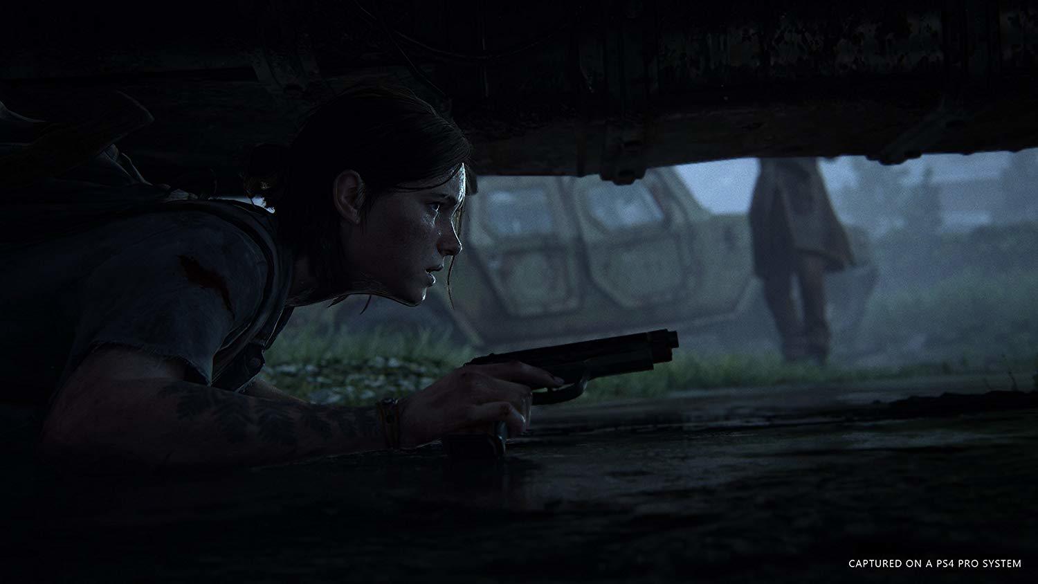 The Last of Us II Special Edition image