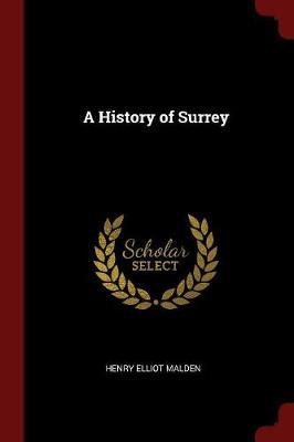 A History of Surrey image