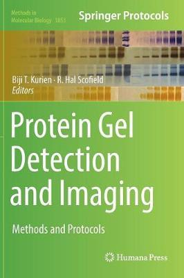 Protein Gel Detection and Imaging on Hardback