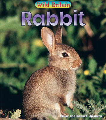 Rabbit by Richard Spilsbury image