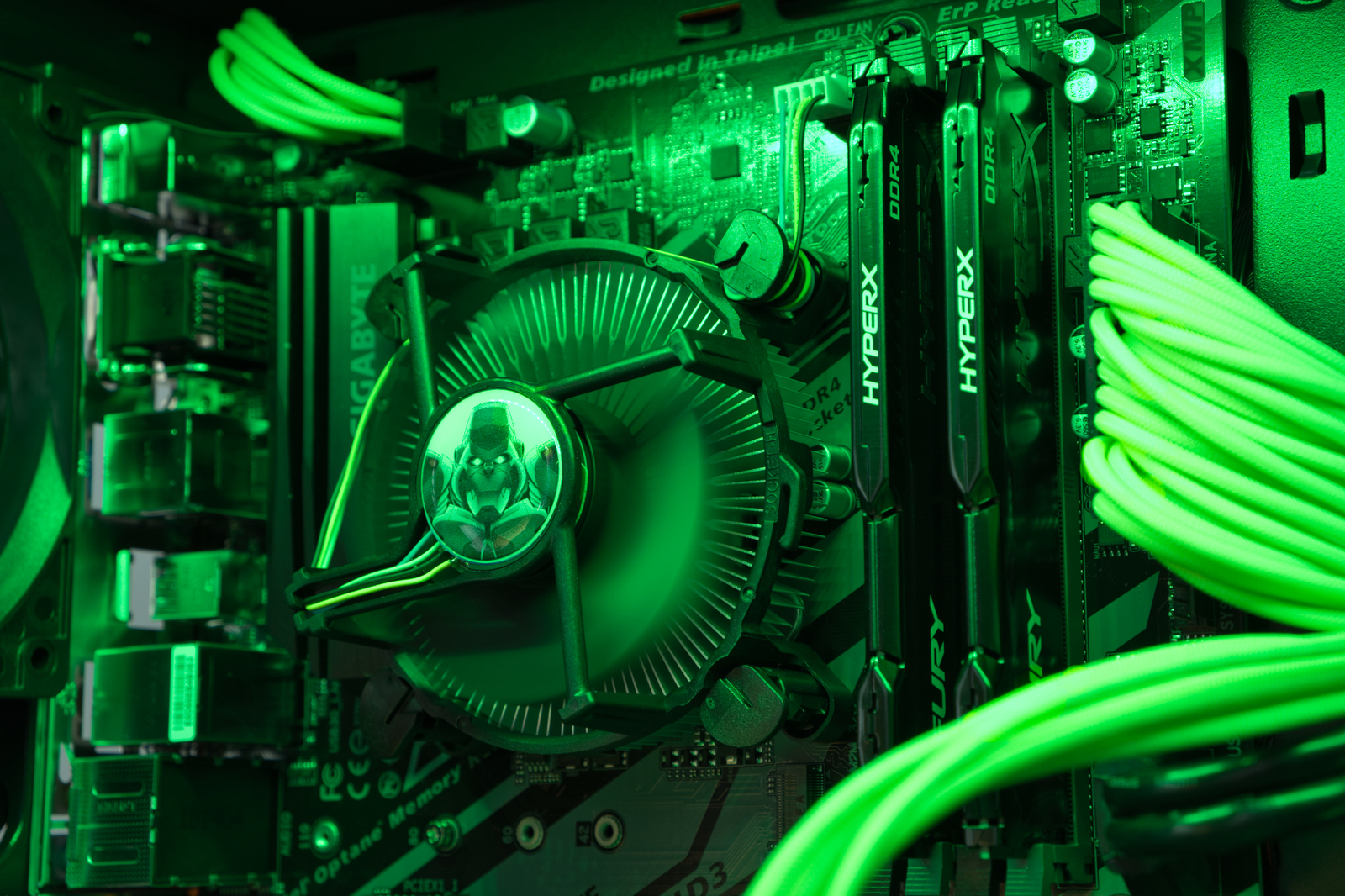 Razorback image