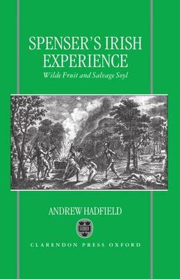 Edmund Spenser's Irish Experience by Andrew Hadfield image