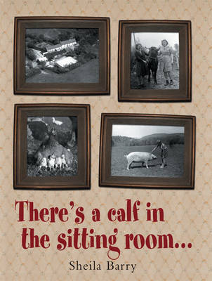 There's a Calf in the Sitting Room by Sheila Barry image
