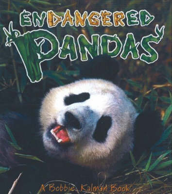 Endangered Pandas by John Crossingham image