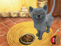 My Best Friends - Cats & Dogs for Nintendo DS image