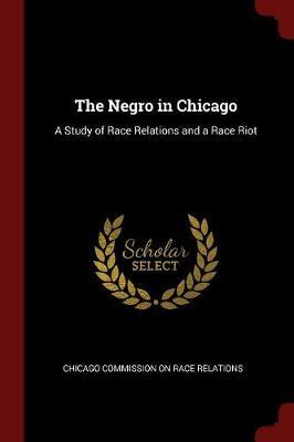 The Negro in Chicago image