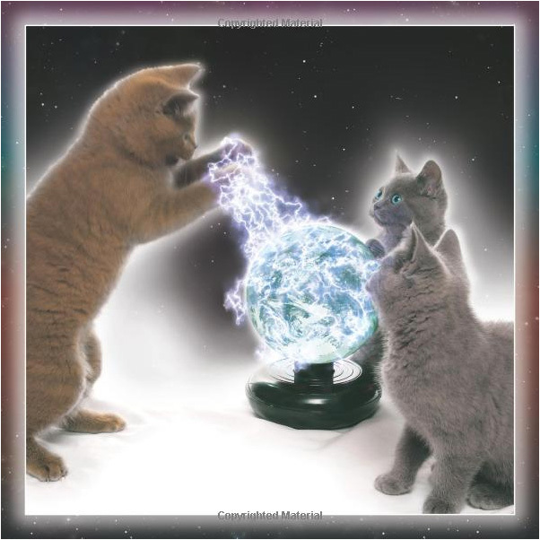 Cat Wars by Sellers Publishing image