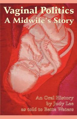 Vaginal Politics by Judy Lee image