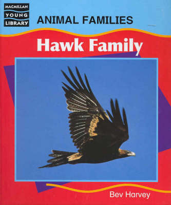 Hawks by Bev Harvey image