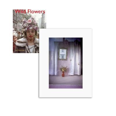 Joel Meyerowitz: Wild Flowers Limited edition image