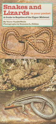 Snakes and Lizards in Your Pocket by Terry VanDeWalle image