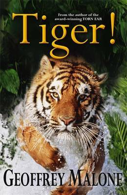 Tiger by Geoffrey Malone image