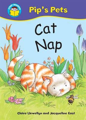 Cat Nap by Claire Llewellyn image