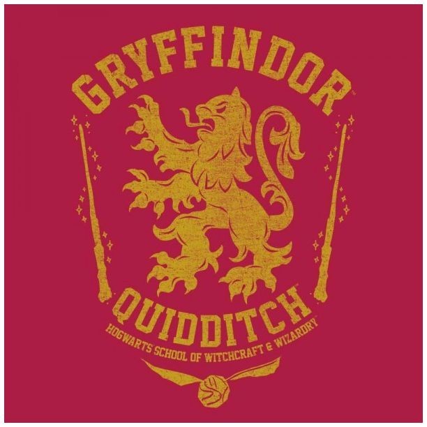 Harry Potter: Gryffindor (Oil Washed) - Juniors T-Shirt (XS) image