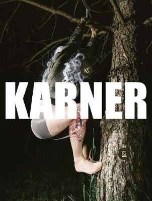 Karl Karner image
