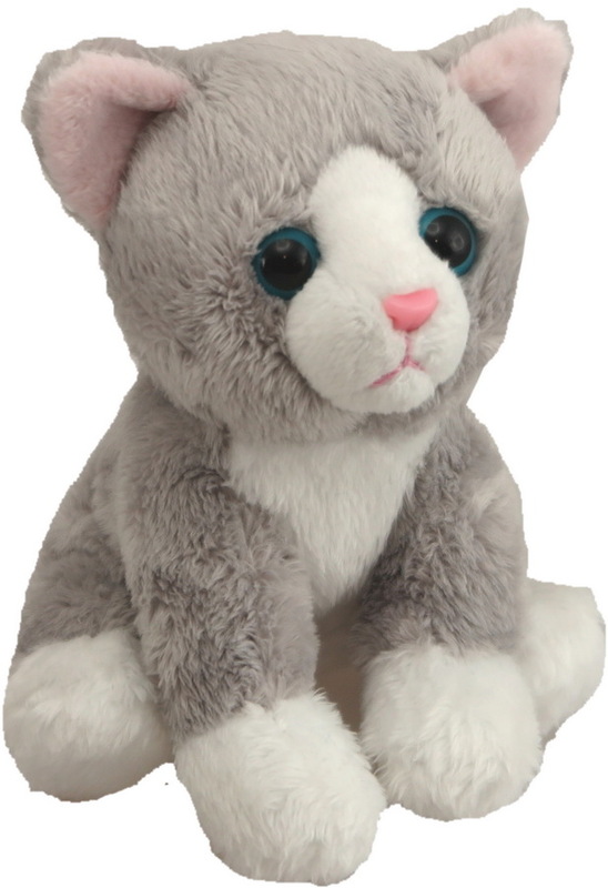 grey cat teddy
