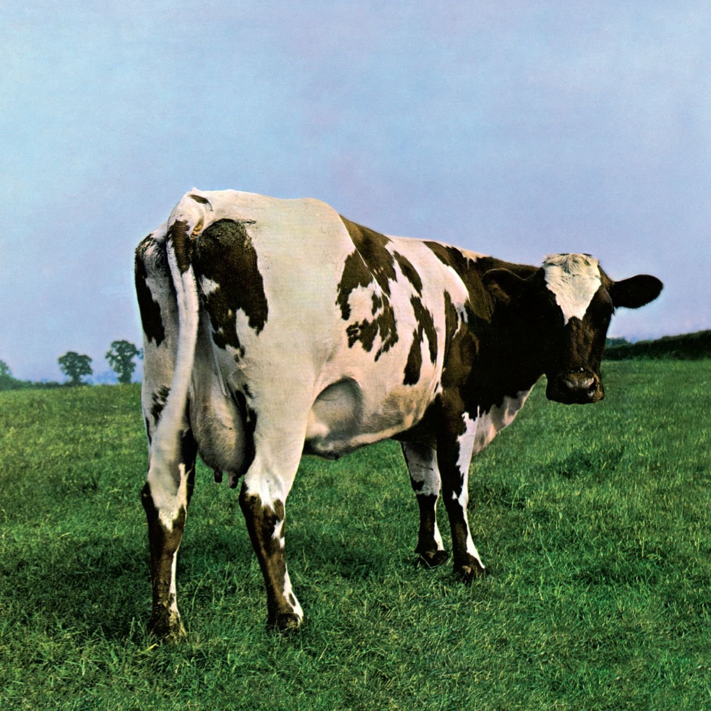 Atom Heart Mother image