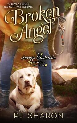 Broken Angel by Pj Sharon image
