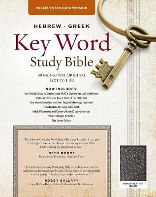 The Hebrew-Greek Key Word Study Bible image