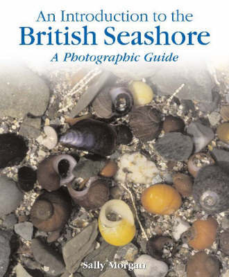 The British Seashore by Sally Morgan image