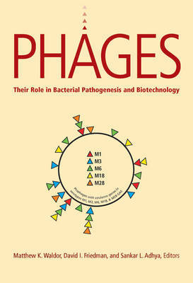 Phages by Matthew K. Waldor image