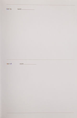 One Sketch A Day: A Visual Journal by Books LLC Chronicle image