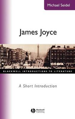 James Joyce by Michael Seidel image