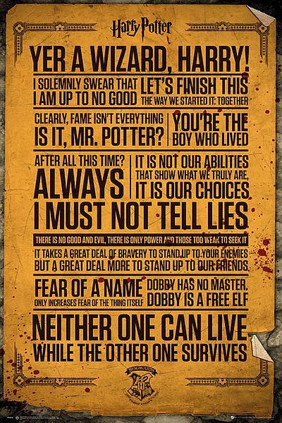 Harry Potter Maxi Poster - Quotes (525)