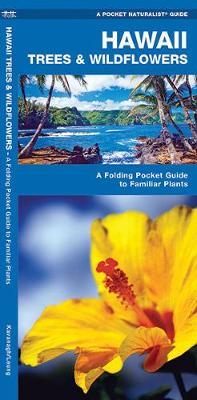 Hawaii Trees & Wildflowers : An Introduction to Familiar Species by Senior Consultant James Kavanagh (Senior Consultant, Oxera Oxera Oxera) image