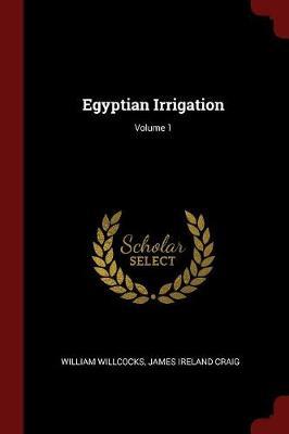 Egyptian Irrigation; Volume 1 by William Willcocks image