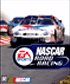 Nascar Road Racing on PC