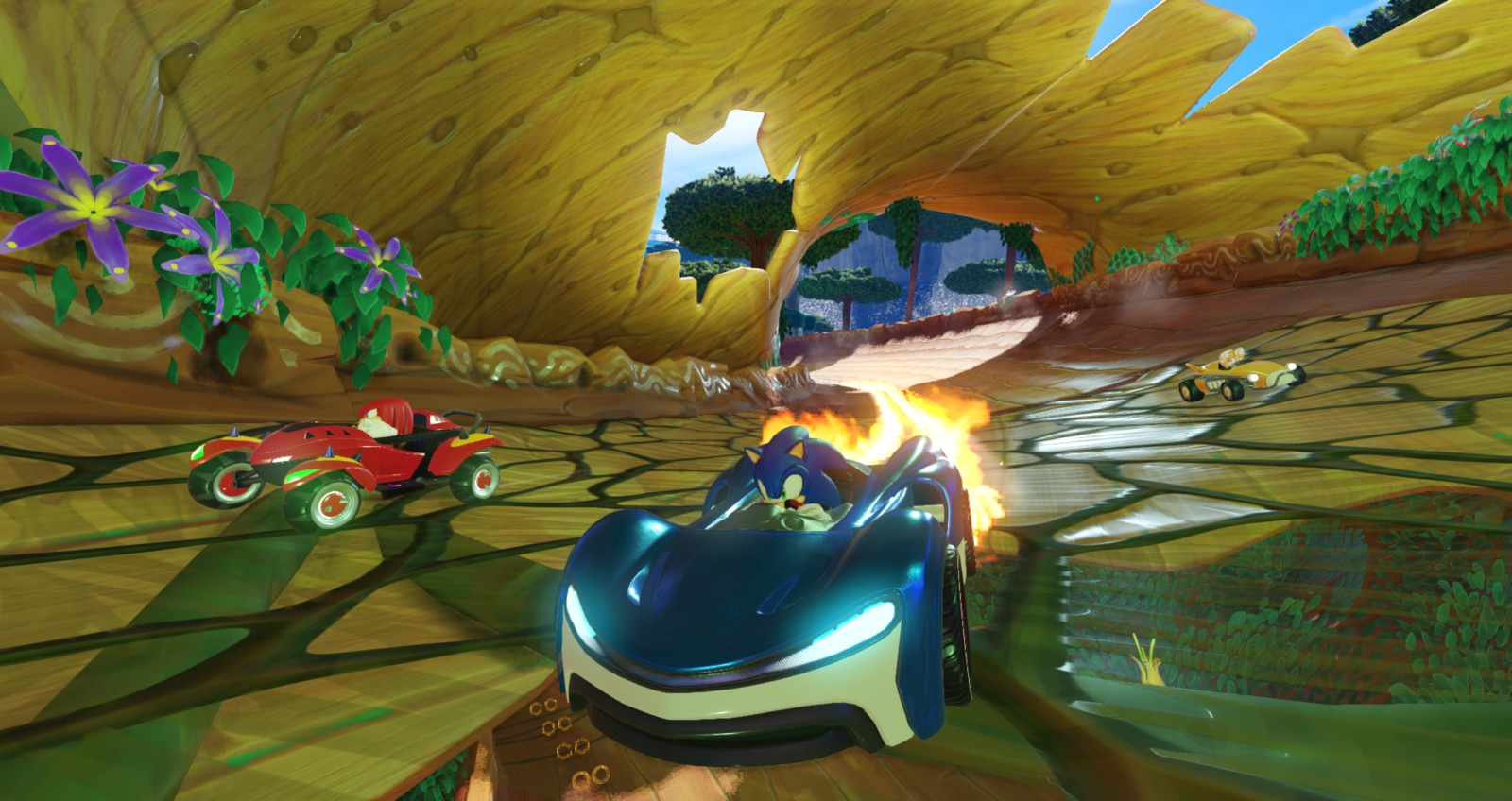 Team Sonic Racing Anniversary Edition image