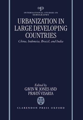 Urbanization in Large Developing Countries image