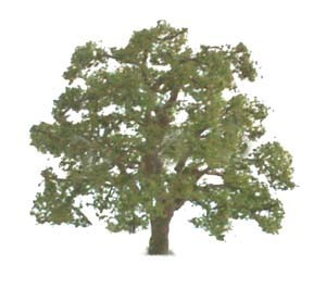 JTT Scenic Live Oak Trees 3" (2pk) - H0 Scale