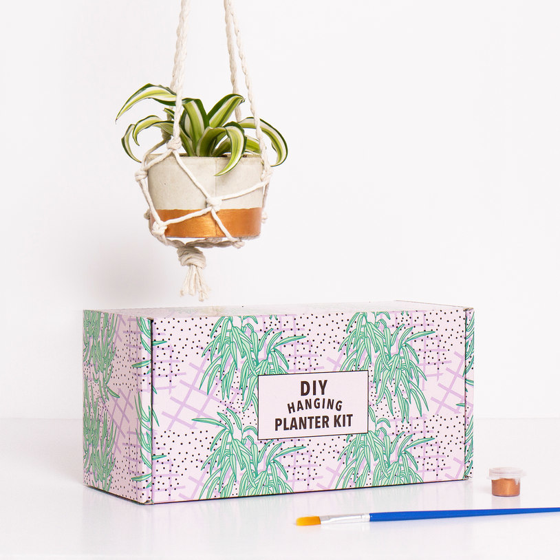 D.I.Y Hanging Planter Kit image