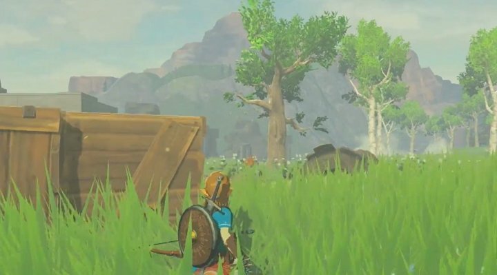 The Legend of Zelda Breath of the Wild for Switch image