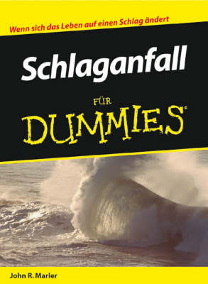 Schlaganfall Fur Dummies by John R Marler image