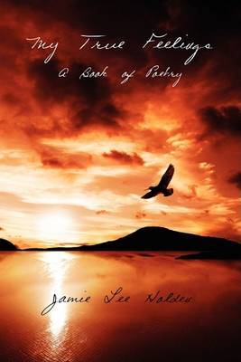 My True Feelings by Jamie Lee Holden image