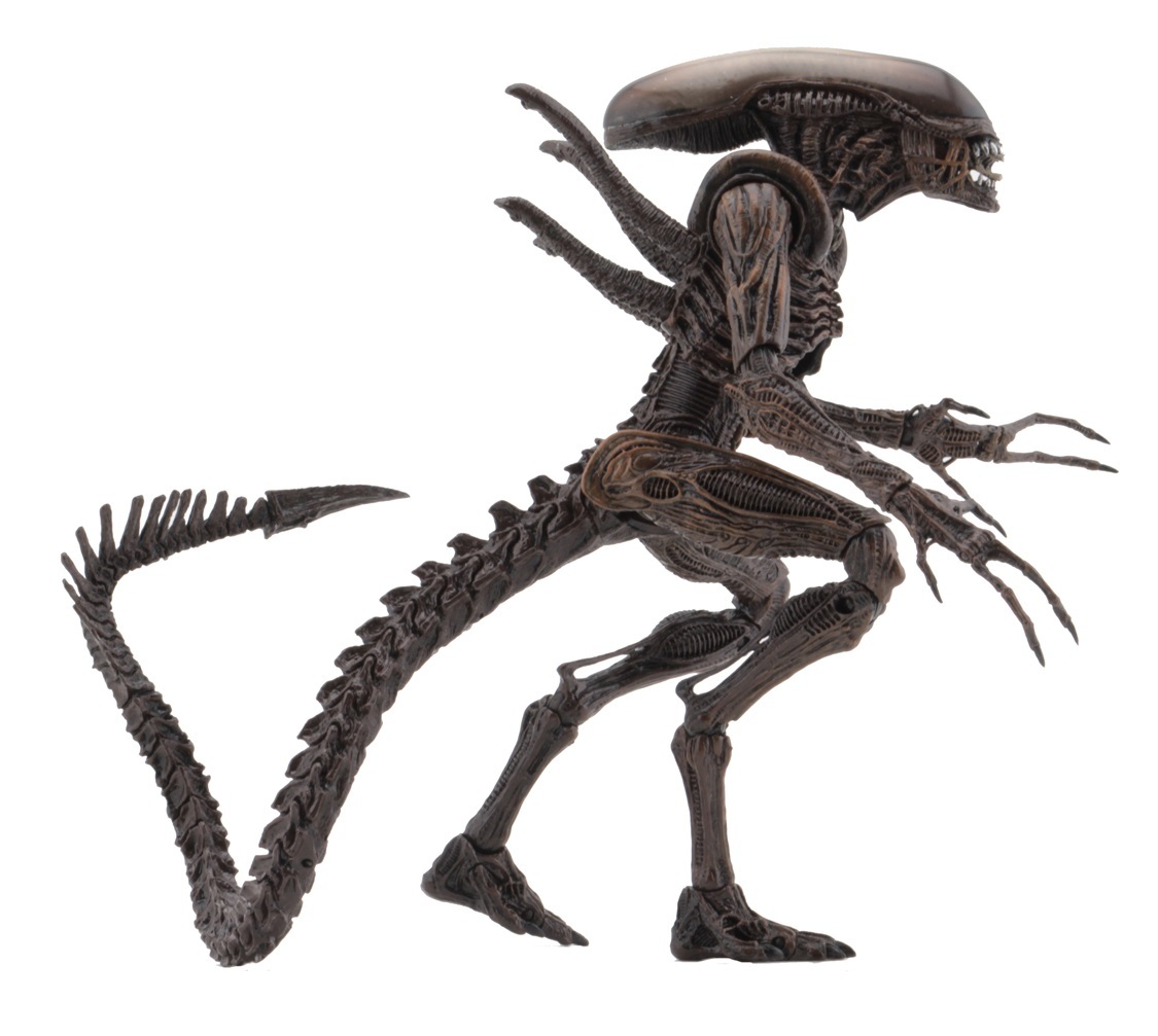 Aliens Resurrection: Xenomorph Warrior - 9″ Articulated Figure image
