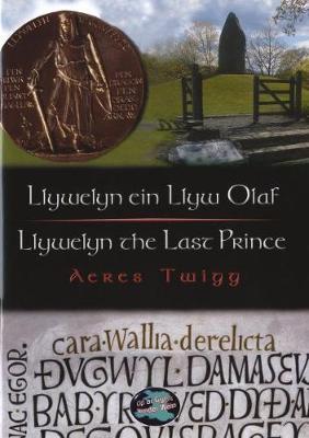 Llywelyn Ein Llyw Olaf by Aeres Twigg image