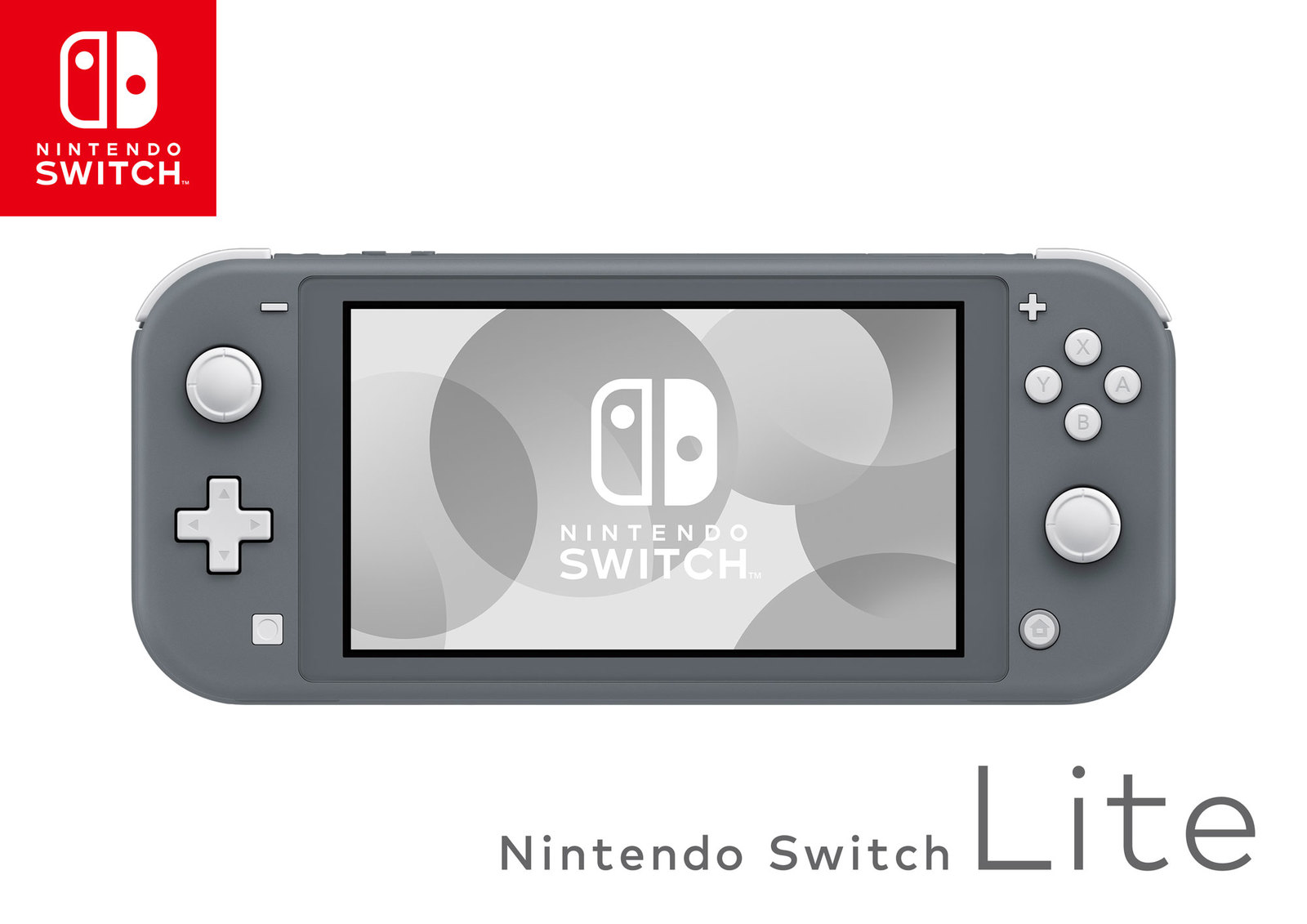 Nintendo Switch Lite Grey image