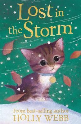 Lost in the Storm by Holly Webb image