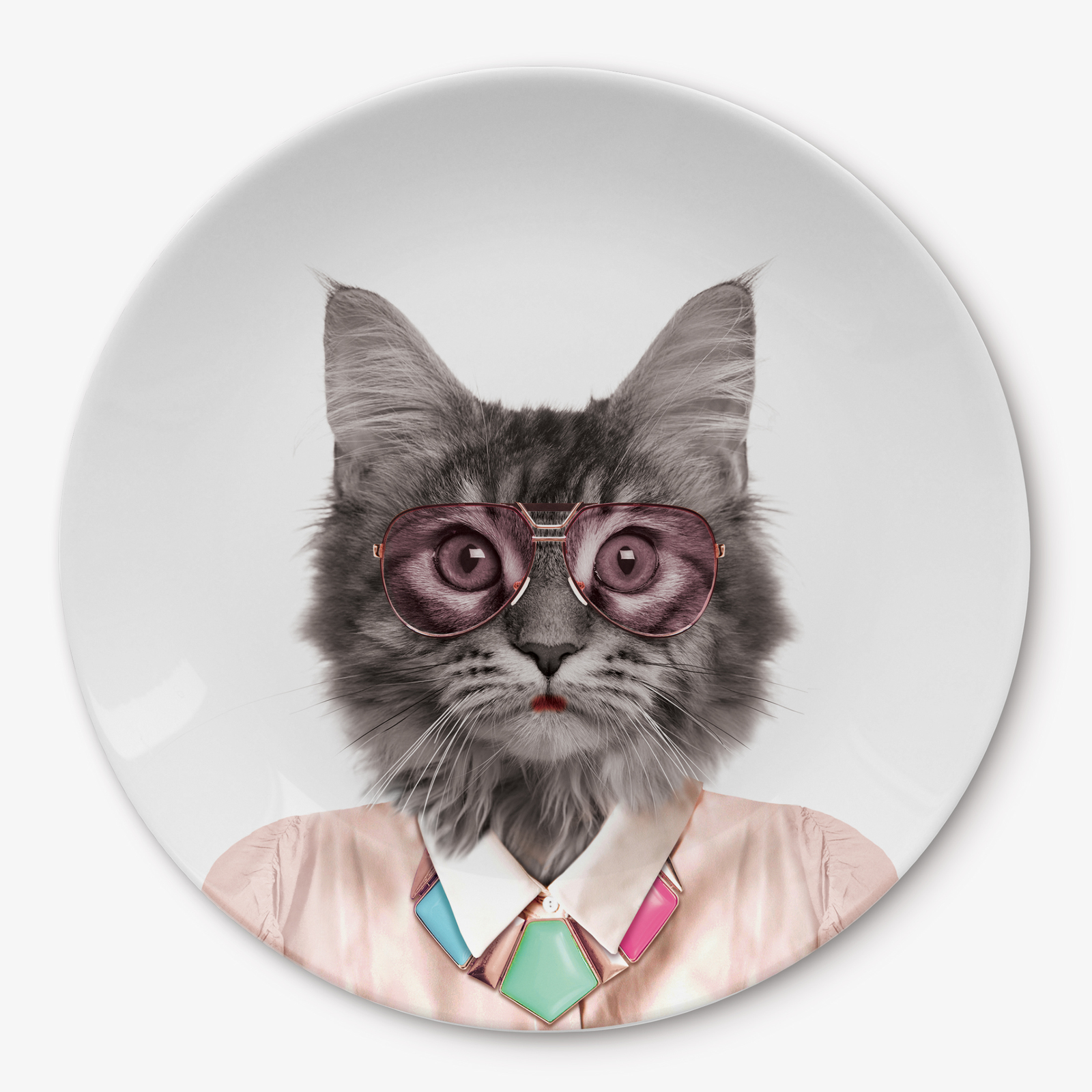 Wild Dining: Ceramic Dinner Plate - Cat (23cm)