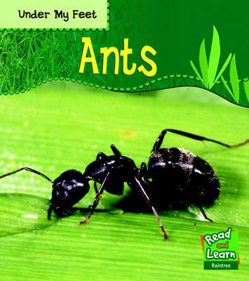 Ants by Patricia Whitehouse image