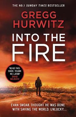 Into the Fire by Gregg Hurwitz image