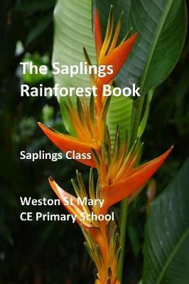 The Saplings Rainforest Book by Weston St Mary School (Saplings Class) image