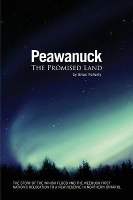 Peawanuck by Brian Feherty image