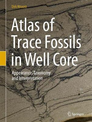 Atlas of Trace Fossils in Well Core image