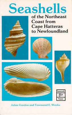 Seashells of the Northeast Coast from Cape Hatteras to Newfoundland by Julius Gordon image