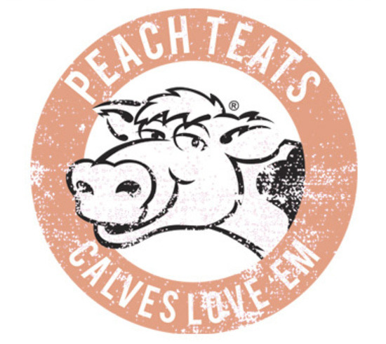 Mr Vintage: Peach Teats Men's T-Shirt - XL image